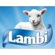 Lambi