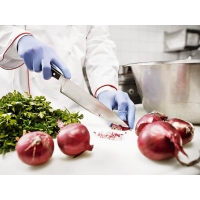 INFINITT TOUCH disposable gloves - powder-free Blue