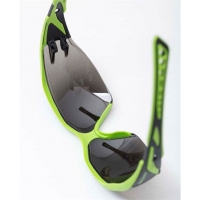 Glasses ARDON® P5 Smoke