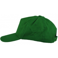 Cap with peak ARDON®LION green Green
