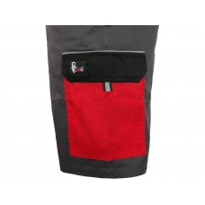 Shorts CXS PHOENIX ZEFYROS, men, grey-red