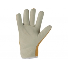 Gloves CXS URBI WINTER, winter, leather