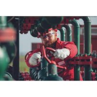 PALLIDA gloves-blister - 