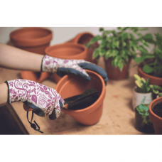 PINTAIL gloves blister navy/purple