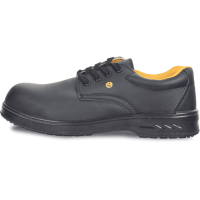 RAVEN MF ESD S1 SRC low 35 black