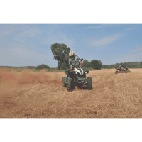 CRAMBE softsh.jacket grey camouflage