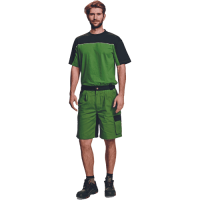 STANMORE T-shirt green/black