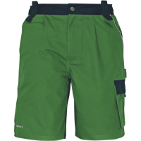 STANMORE shorts green/black