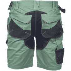 DAYBORO shorts hedge green