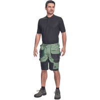 DAYBORO shorts hedge green