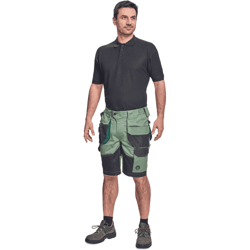 DAYBORO shorts hedge green