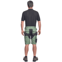 DAYBORO shorts hedge green