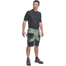 DAYBORO shorts hedge green