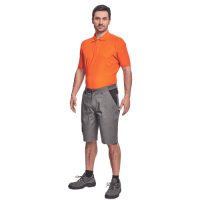 CREMORNE shorts grey