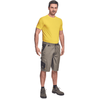 CREMORNE šortky sv.olivová