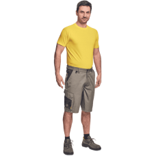 CREMORNE shorts dusky green