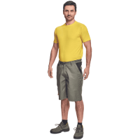 CREMORNE šortky sv.olivová