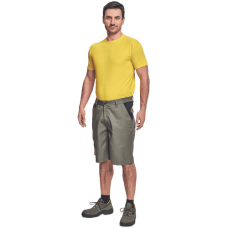 CREMORNE shorts dusky green