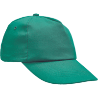 LEO baseball cap green