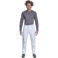 ALZIRA trousers grey