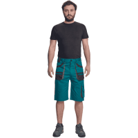 FF CARL BE-01-009 shorts green/black