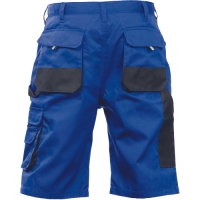 FF CARL BE-01-009 shorts royal/black