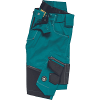 NEURUM CLS shorts petrol blue