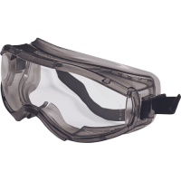 WAITARA goggles clear, grey frame
