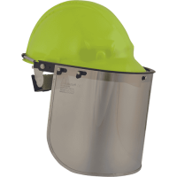 VISIGUARD PC štít pokovený