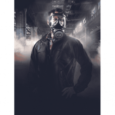 SR 200 Full Face Mask, PC visor