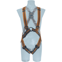 Harness ARG 30 EN361