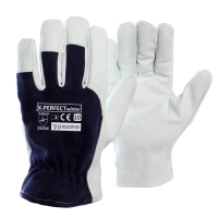 Gloves reinforced with goatskin insulated x-perfect winter