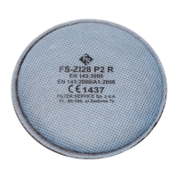 Dust filter fs zi28 p2 r