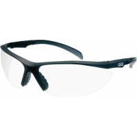 Protective glasses MSA-OO-PER1320-F T